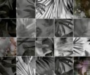 Vzorovaný obklad APE Souk Kasbah Mix Grey 13x13 - šedá