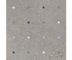 Ape Ama Fiori Cenere 60x60 Matt. Rett.