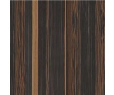 Coem Wide Gress 280 Yosemite Dark 120x120 Matt. Rett.