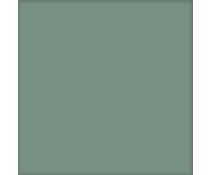 Codicer Basic Kale 25x25