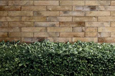 hd_sichenia_pave_brick_14
