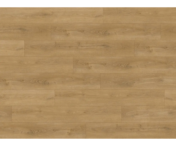 EXPERTO LVT 30 Dub Stella 2081L-16