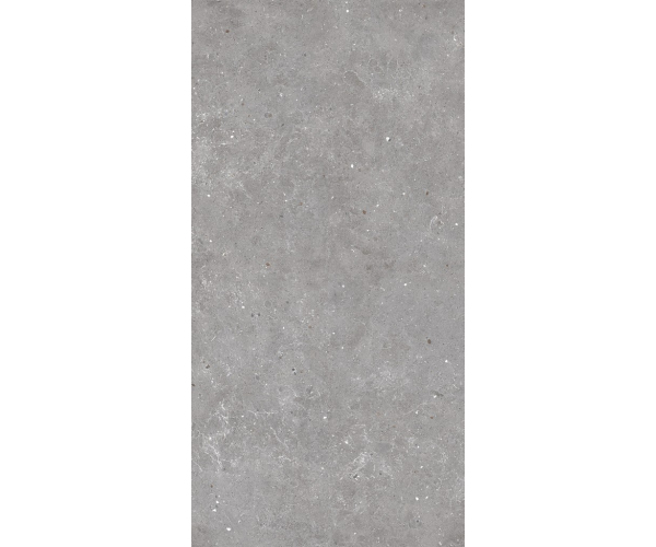 Dlažba jako kámen Sichenia Ar_Gent Ash 60x120 Rett. - šedá