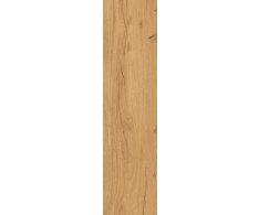 Bottega Tiles Feelwood Cognac 24x150 Nat.