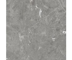 Azuvi Mystery Grey 120x120 Mat. Rett.