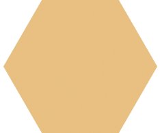 Codicer Basic Mango Hex 25 22x25