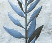 Proměnlivá dekorativní dlažba Nusa Botanic Sapphire 25x25 (Codicer)