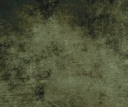 Dlažba Da Vinci Porcelain Botanic Base 20x20 - zelená