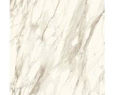 Caesar Anima Ever Apuan Gold  120x120 Luc. Rett.