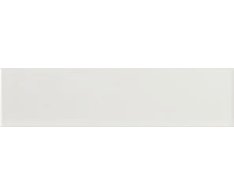 Equipe Evolution Blanco 10x40