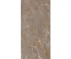 La Fenice Genesis Taupe 60x120 Rett.
