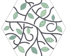 Codicer Ivy Green 22x25 Hex