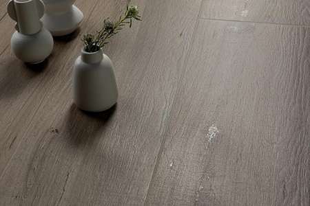 quercia_amb_outdoor