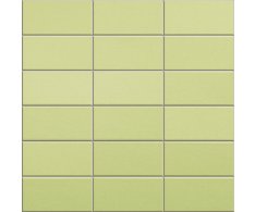 Appiani Anthologhia Gladiolo 30x30 (5x10)