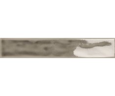 Tonalite Stek Grigio 7x40