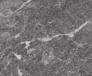Dlažba jako kámen Sichenia Pavé Delle Alpi Valmalenco Soft GRIP 30x60 Rett. - šedá