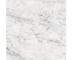 APE Vita Polished 60x60 Rett.