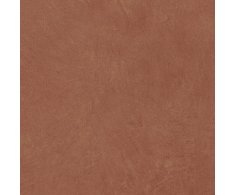 APE Argillae Anti-Slip Terra 60X60 Rett.