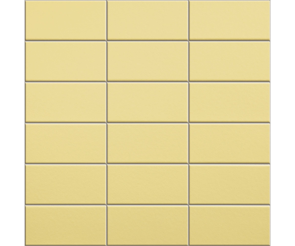 Mozaika Appiani Anthologhia Forsizia 30x30 (5x10) - žlutá