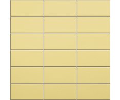 Appiani Anthologhia Forsizia 30x30 (5x10)