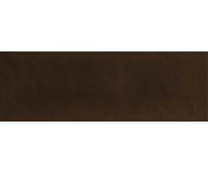 Absolut Milano Monocolor Chocolate Brillo 10x30