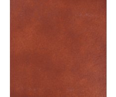 Gres Aragón Esmaltado Classic Albany Teka 25x25