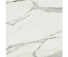 APE Statuary Venato 120x120 Matt Rett.