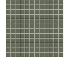 Appiani Open Space Ramina 30x30 (1,2x1,2) Matt.
