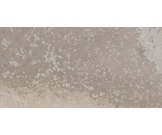 EdimaxAstor More Nut 60x120 Matt. Rett.