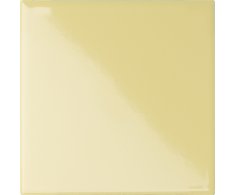 CE.SI I Colori Zircone 10x10 Luc.
