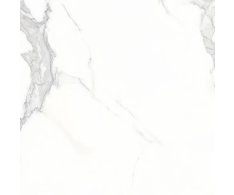 EdimaxAstor Charme Veined 60x60 Rett.
