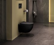 Ovládací tlačítko Chrome - WC tlačítko Chrome, černá X01797