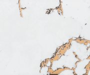 Da Vinci Zibá Portoro Blanco 10x60 Luc. Obr.3
