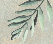 Proměnlivá dekorativní dlažba Nusa Botanic Jade 25x25 (Codicer)