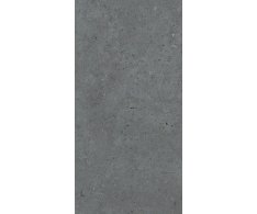 Pastorelli Biophilic BI Dark Grey 60x120 Rett.
