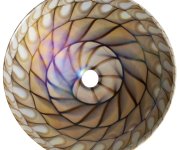 Sapho Caraibi Murano Skleněné Umyvadlo Na Desku, Průměr 41cm, Ivory/hnědá