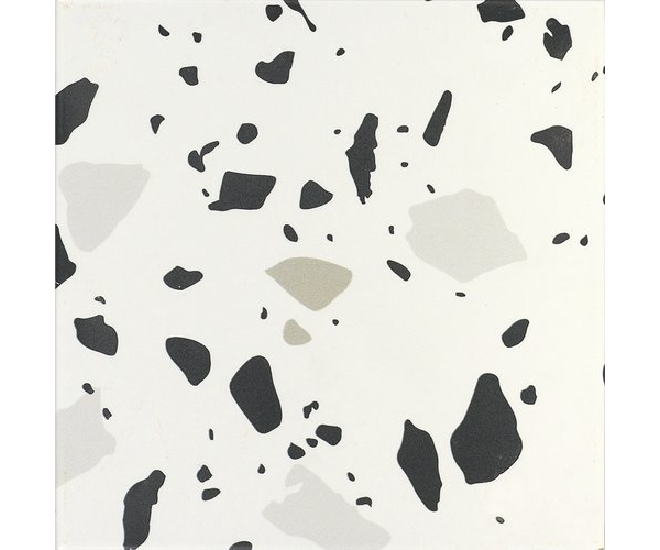Dlažba jako terrazzo APE Carmen Trendy Black 20x20