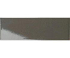Tonalite Silk Grafite 10x30