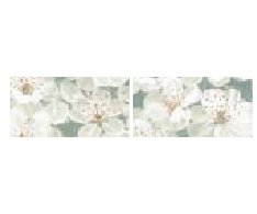 Brennero Blooming Giada 2 pz. misti list. 9,5x20
