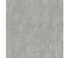Azuvi Portland Grey 120x120 Mat. Rett.