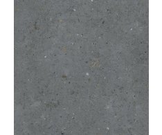 Pastorelli Biophilic BI Dark Grey 60x60 Nat. (tl. 20mm)