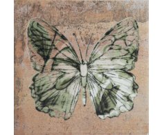 APE Menorca Viento Verde Mix 10x10