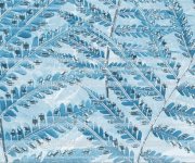 Luxusní dekor Brennero Bloomy Felce Blu 25x75 - modrá