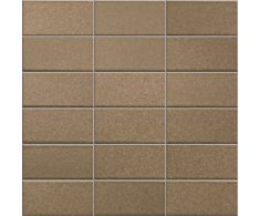 Appiani Anthologhia Viburno 30x30 (5x10)