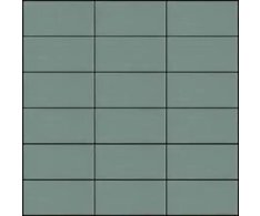 Appiani Seta Menta 30x30 (5x10) Matt.