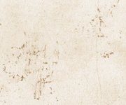 Dlažba jako beton CIR Miami White Rope 10x20 - béžová