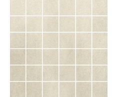 Polis N.Y.C. Broadway Mos. su rete 30x30