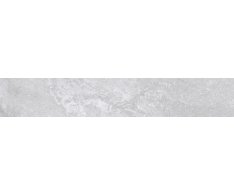 EdimaxAstor Stream Silver 10x60