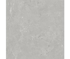 Azuvi Neeko Grey 120x120 Rett., Matt.