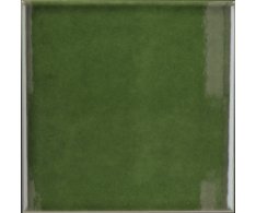 Equipe Evolution Victorian Green 15x15